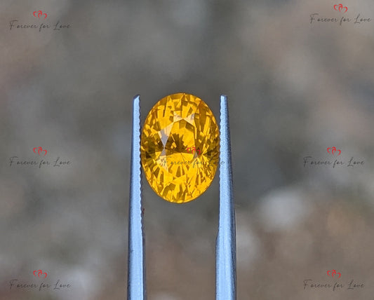 4.09 Carat Oval Natural Heat-Treated Ceylon Yellowish Orange Sapphire